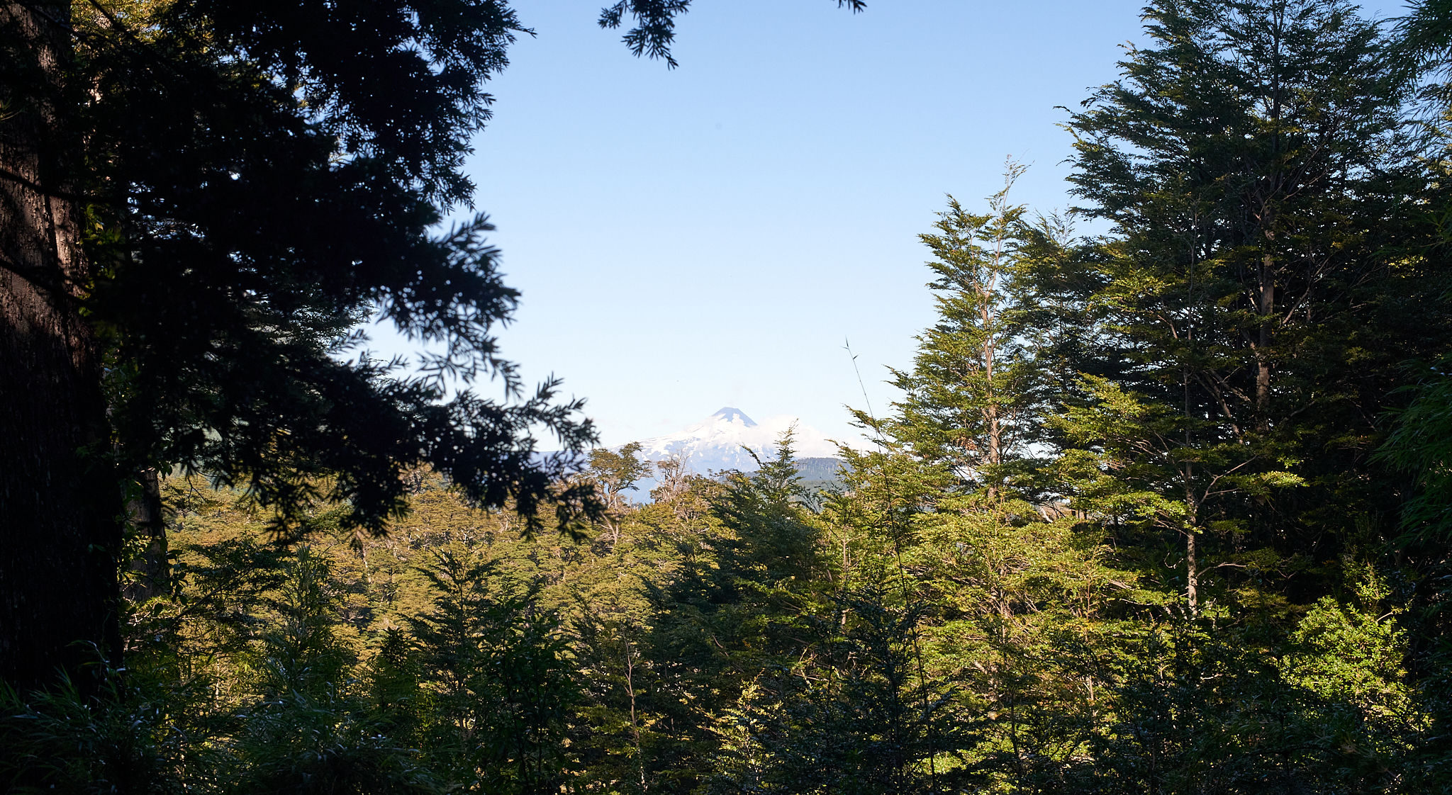 20200317 878 [칠레] 푸콘 우에르케우에 국립공원 트레킹